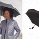 AmazonBasics Automatic Travel Umbrella | $10 | Amazon